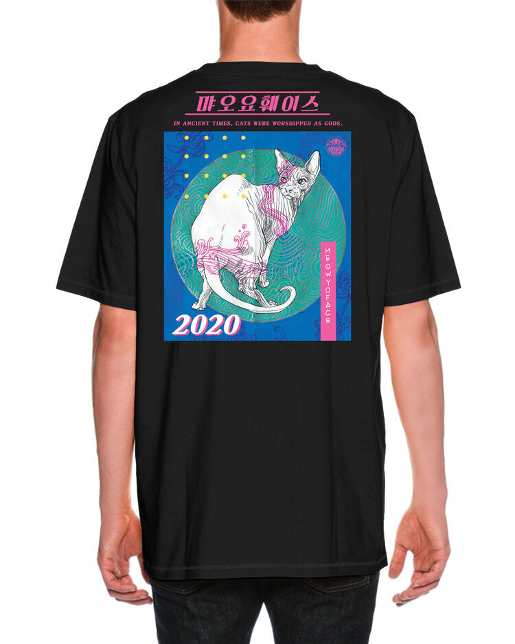 Ancient Kitty Unisex Tee Shirt